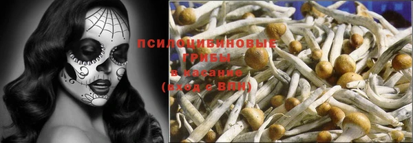 COCAINE Покачи