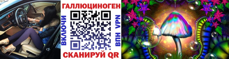 Псилоцибиновые грибы Cubensis  Купить где  Покровск 
