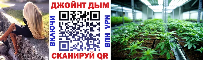 Купить закладки  Покровск  Шишки марихуана планчик 